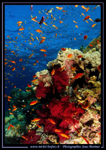 Red Sea Atmospher... Que du bonheur... :O).... by Michel Lonfat 